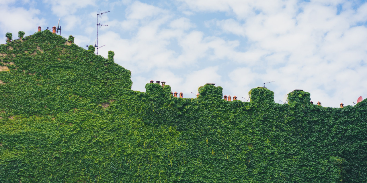 Image d'illustration pour : Des jardins sur les murs